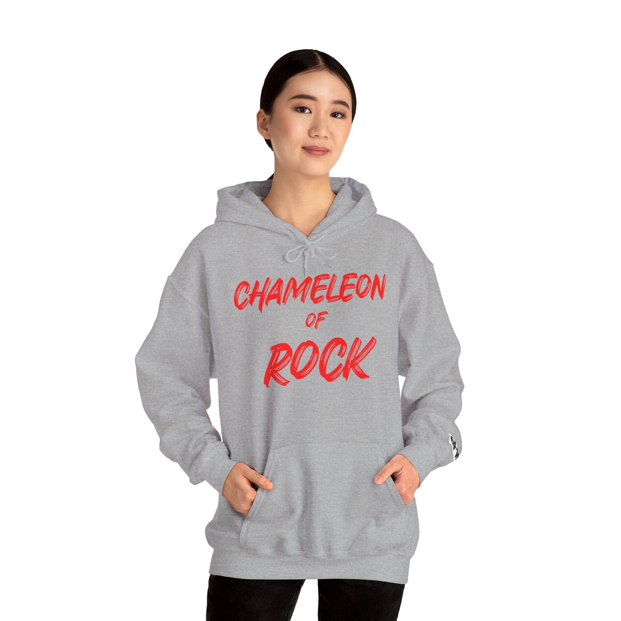 Chameleon of Rock Hoodie — Retro Band Graphic Pullover