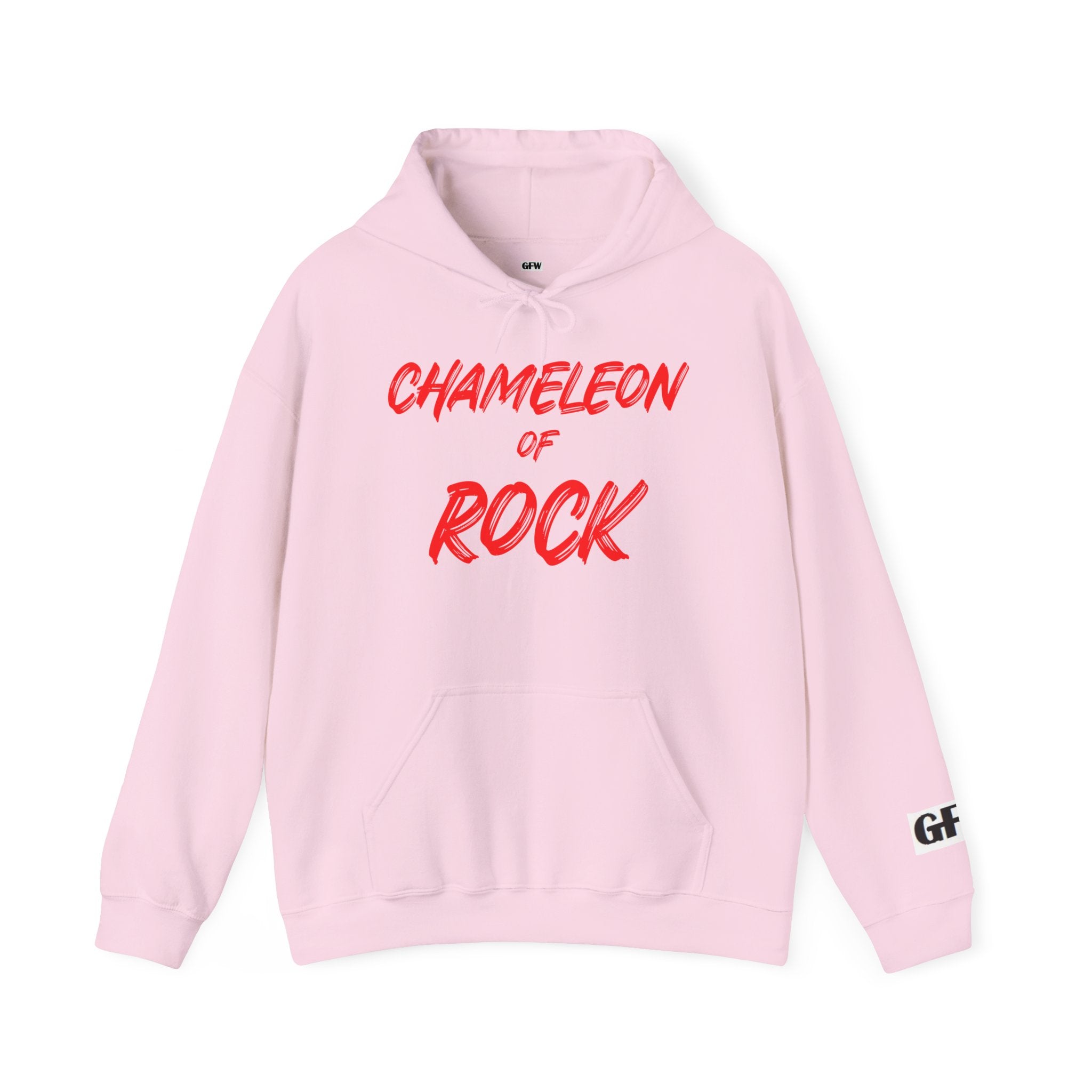 Chameleon of Rock Hoodie — Retro Band Graphic Pullover