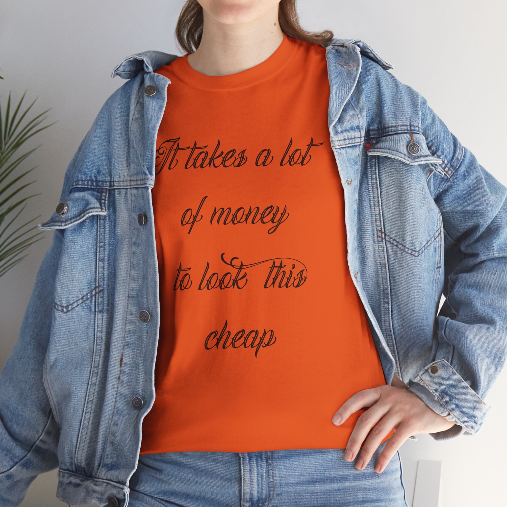 T-Shirt — "It takes a lot of money to look this cheap" Script Graphic Tee